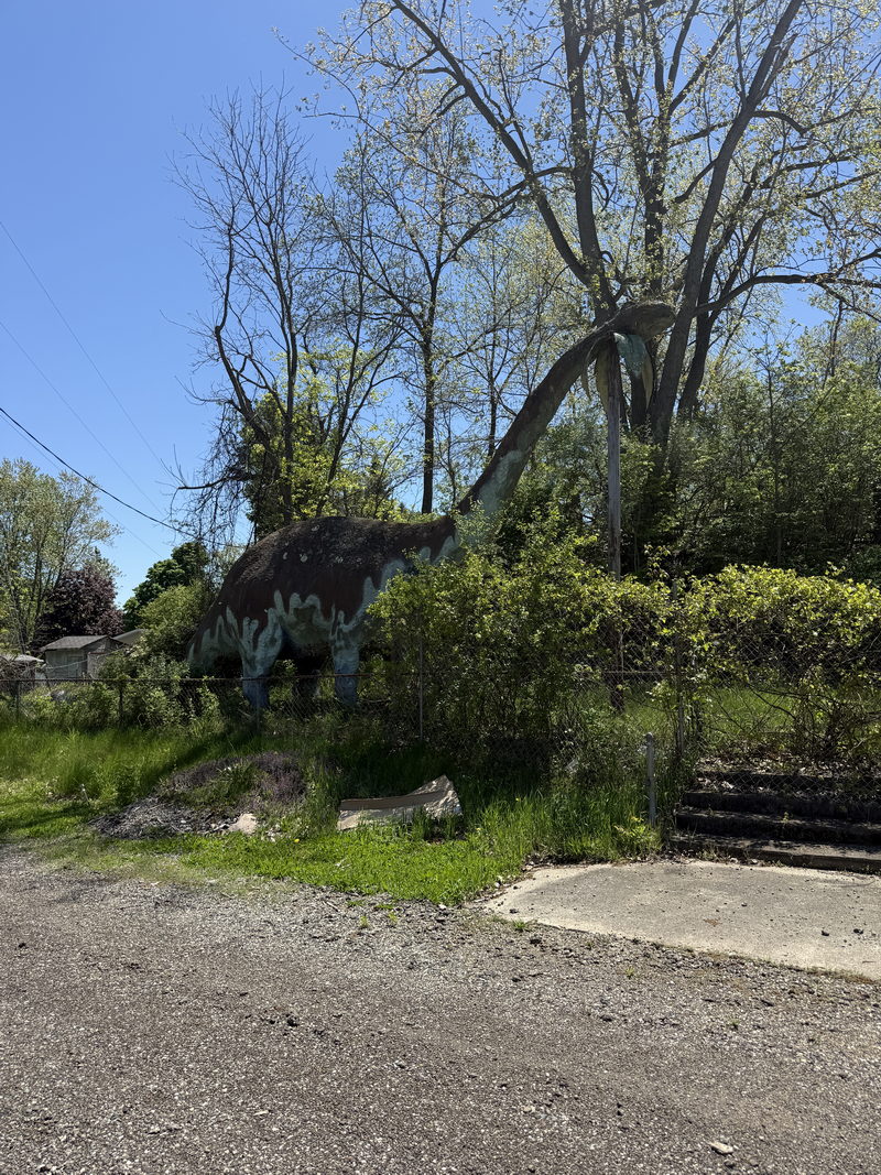 Prehistoric Forest - May 11 2025 (newer photo)